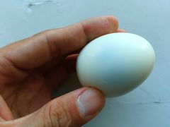 -江南大学附属医院(北院区)