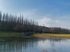 -宜兴龙背山森林公园