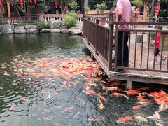 -大门水乡·顺德菜