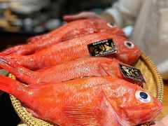 -原志优秀食材·匠心料理·海胆主题(金亿广场店)