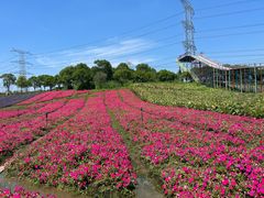 -上海杨姆庄园