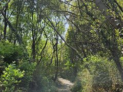 -白马涧龙池景区