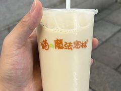 -猫的魔法密林(衣裳街店)