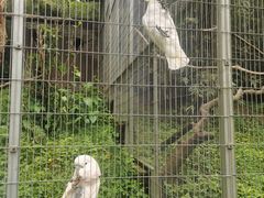 -宁波野生动物园