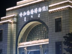 -呼和浩特博物馆