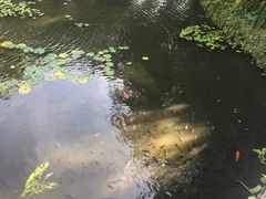 -三亚亚龙湾雅高美爵酒店