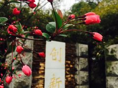 -南京邮电大学(仙林校区)