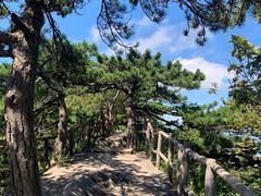 -罗田薄刀峰风景区