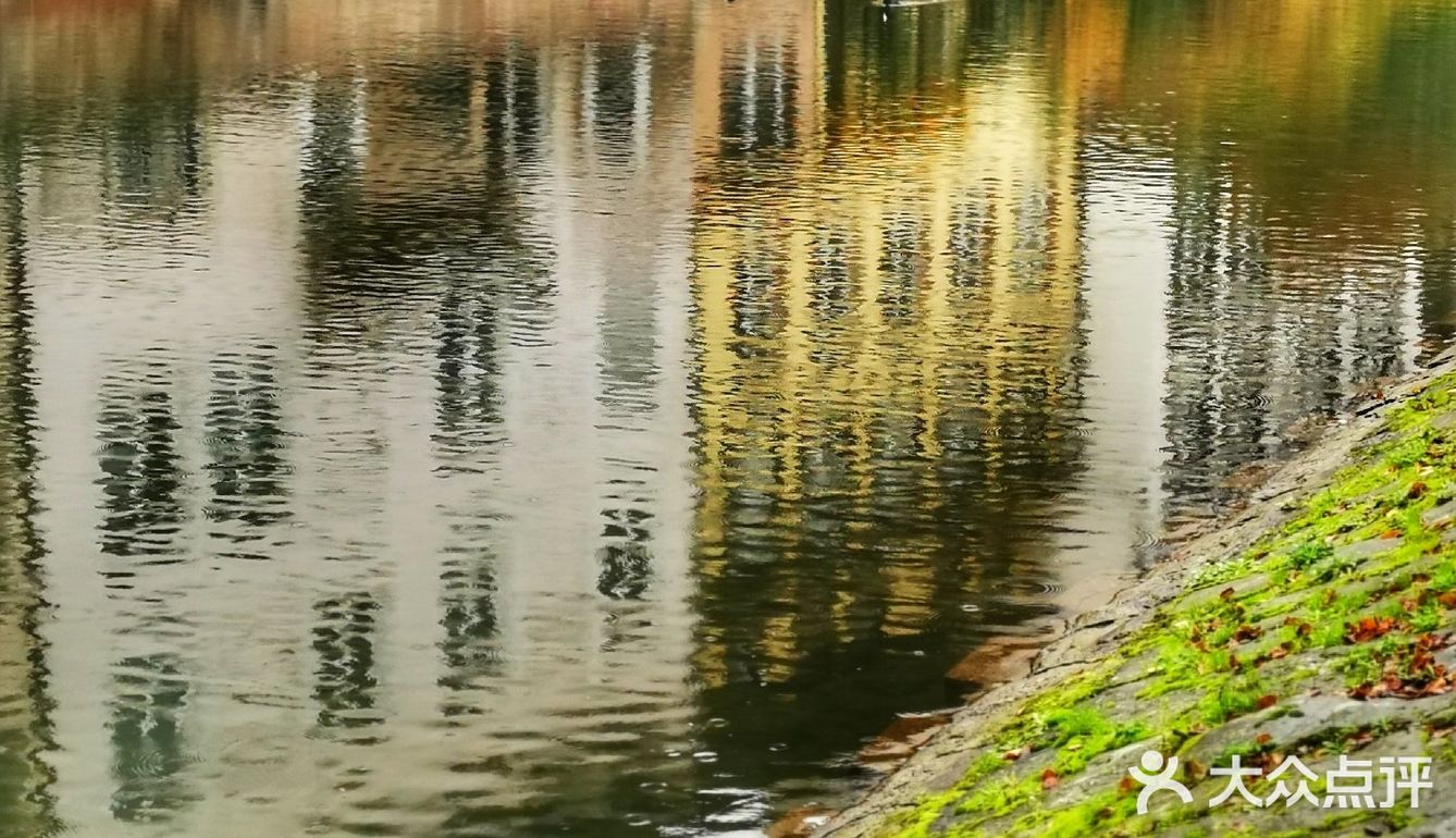 法国🇫🇷  烟雨☔️ 中的斯特拉斯堡，游玩攻略