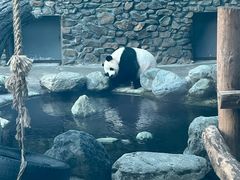 -神农架景区
