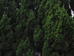 -南沙蒲洲花园