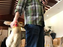 -呼吸森林·生态农庄农家乐私房菜