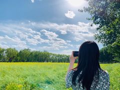 -天津武清北运河郊野公园房车露营地