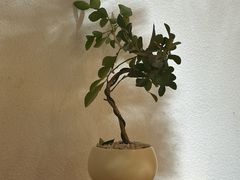 -冰拾叁(新都店)