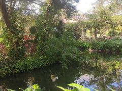 -海南热带野生动植物园