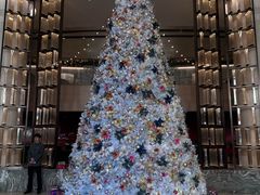 -杭州君悦酒店·青莳