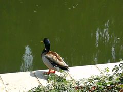 -南宫温泉水世界