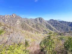 -大岭沟猕猴桃谷风景区