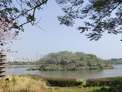 -海珠湖公园