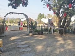 -长洲岛都市农业公园