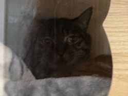 -功夫肩颈先柚美容养生