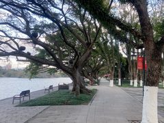 -江心屿景区