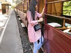 -普芬比利蒸汽火车