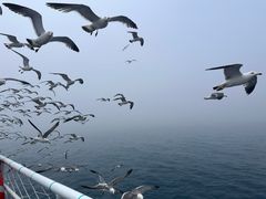 -海驴岛(荣成市)