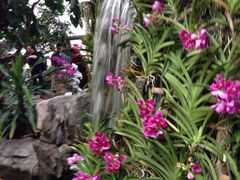 环境-北京植物园-展览温室