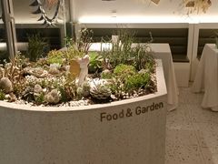 -春树下·树屋花房西餐厅(罍街AS1980店)