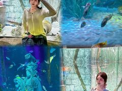 -沈阳海洋探索中心