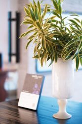 点击看大图 -栖SPA·ONDA ·美芙炫·海菲秀科技美肤中心