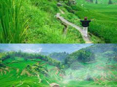 -古堰画乡景区
