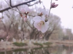 -满都海公园