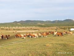 -塞罕坝国家级自然保护区