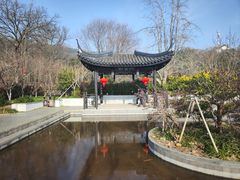 -雨花胜境