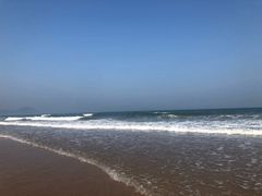 -大锅强·蒸海鲜青岛菜(吾悦广场店)