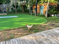 -金宝幼儿园(通州校区)