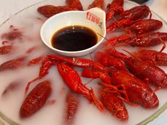 -红盔甲·小龙虾(天钥桥店)