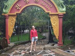 -瑞丽独树成林风景区