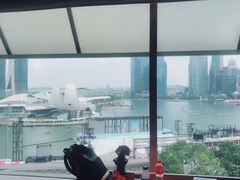 -新加坡丽思卡尔顿美年酒店