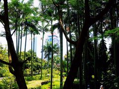 -厦门大学(思明校区)