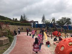 -铁山坪森林公园