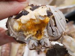 -视界美食自助餐厅·石家庄希尔顿酒店