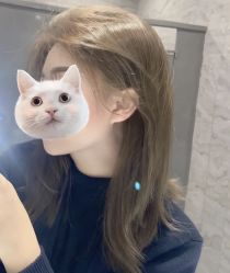 -MOVAN HAIR莫凡匠人发型屋