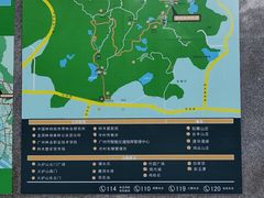 -火炉山森林公园
