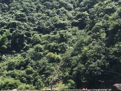 -安吉龙王山峡谷漂流