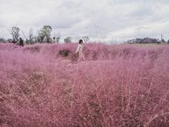 -白鹭湾湿地公园