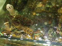 -蓝珊甄选海鲜自助·火锅大排档(近阿那亚店)