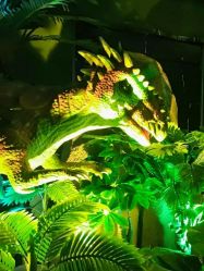 -恐龙探索乐园(磁器口店)